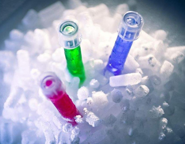 实验室干冰怎么存放,可以从哪里购买？